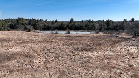 Premier Hunting and Recreational Property in Monroe County - image 37