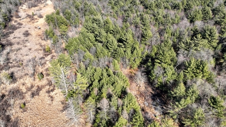 Premier Hunting and Recreational Property in Monroe County - image 47