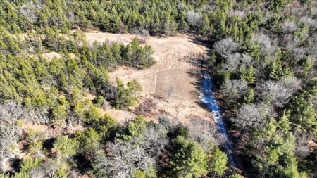 Premier Hunting and Recreational Property in Monroe County - image 11