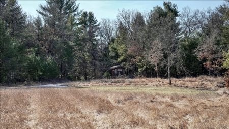 Premier Hunting and Recreational Property in Monroe County - image 20