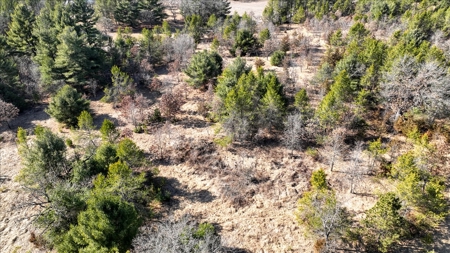 Premier Hunting and Recreational Property in Monroe County - image 29