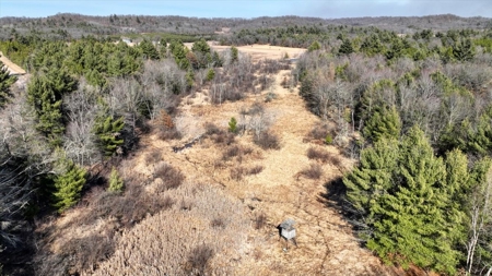 Premier Hunting and Recreational Property in Monroe County - image 26