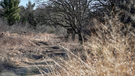 Premier Hunting and Recreational Property in Monroe County - image 14