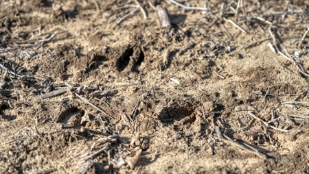 Premier Hunting and Recreational Property in Monroe County - image 9