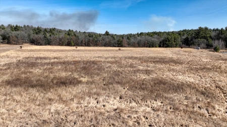 Premier Hunting and Recreational Property in Monroe County - image 36