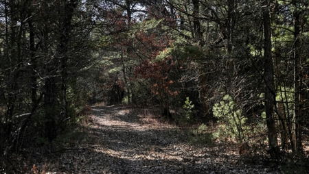 Premier Hunting and Recreational Property in Monroe County - image 21