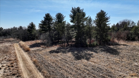 Premier Hunting and Recreational Property in Monroe County - image 33