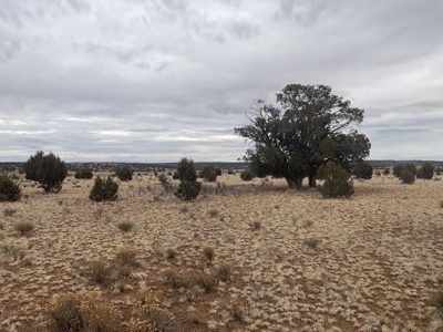 40 Acres of  Ranch Land for Sale, No HOA, Seligman AZ - image 1