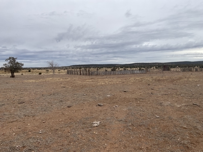 40 Acres of  Ranch Land for Sale, No HOA, Seligman AZ - image 4