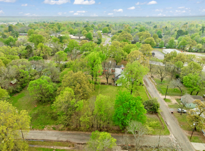 Historic Colonial Home for Auction, Paris TX Lamar County - image 39