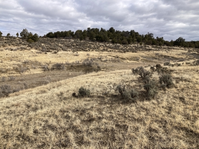 Beautiful 10 Acre Parcel Near Chama and Tierra Amarilla! - image 3