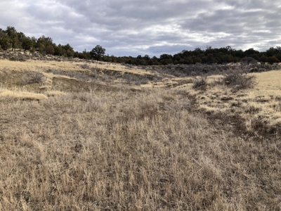 Beautiful 10 Acre Parcel Near Chama and Tierra Amarilla! - image 4