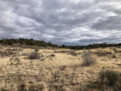 Beautiful 10 Acre Parcel Near Chama and Tierra Amarilla! - image 2