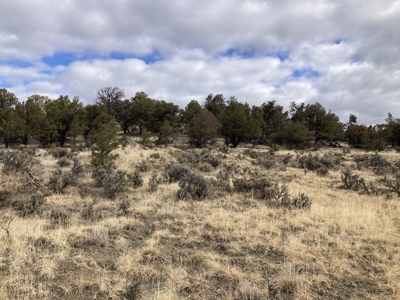 Beautiful 10 Acre Parcel Near Chama and Tierra Amarilla! - image 7