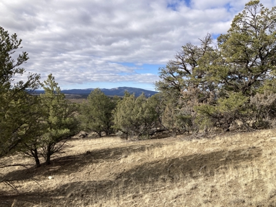 Beautiful 10 Acre Parcel Near Chama and Tierra Amarilla! - image 11