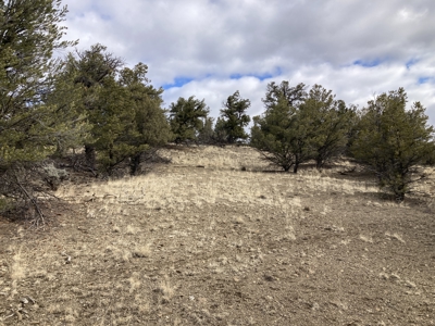 Beautiful 10 Acre Parcel Near Chama and Tierra Amarilla! - image 9