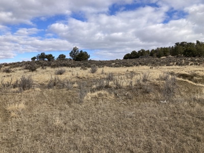 Beautiful 10 Acre Parcel Near Chama and Tierra Amarilla! - image 5