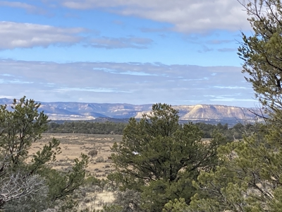 Beautiful 10 Acre Parcel Near Chama and Tierra Amarilla! - image 15