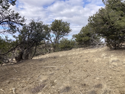 Beautiful 10 Acre Parcel Near Chama and Tierra Amarilla! - image 13