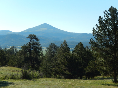 Colorado Mountain Land: 42 Acres With Trees- Views -Rock Formations- Mt Pisgah Views - image 2