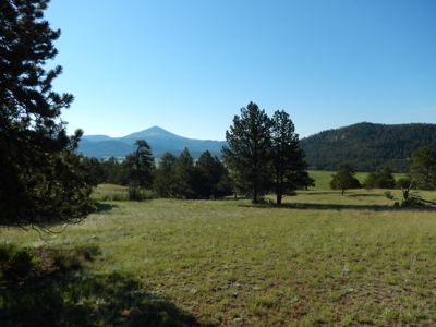 Colorado Mountain Land: 42 Acres With Trees- Views -Rock Formations- Mt Pisgah Views - image 1