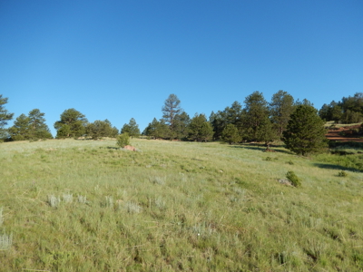 Colorado Mountain Land: 42 Acres With Trees- Views -Rock Formations- Mt Pisgah Views - image 12