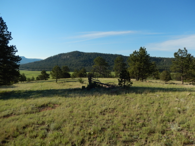 Colorado Mountain Land: 42 Acres With Trees- Views -Rock Formations- Mt Pisgah Views - image 20