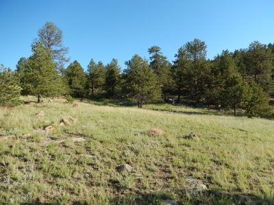 Colorado Mountain Land: 42 Acres With Trees- Views -Rock Formations- Mt Pisgah Views - image 14