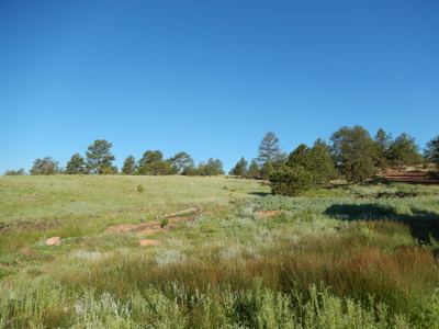 Colorado Mountain Land: 42 Acres With Trees- Views -Rock Formations- Mt Pisgah Views - image 11