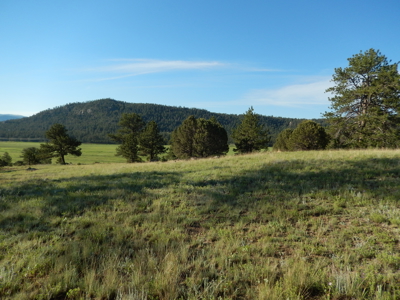 Colorado Mountain Land: 42 Acres With Trees- Views -Rock Formations- Mt Pisgah Views - image 16