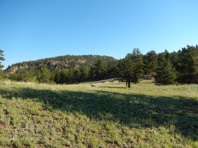 Colorado Mountain Land: 42 Acres With Trees- Views -Rock Formations- Mt Pisgah Views - image 21