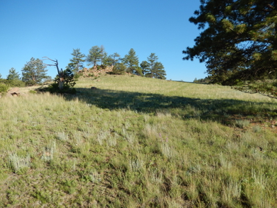 Colorado Mountain Land: 42 Acres With Trees- Views -Rock Formations- Mt Pisgah Views - image 17
