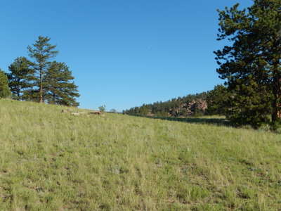 Colorado Mountain Land: 42 Acres With Trees- Views -Rock Formations- Mt Pisgah Views - image 6