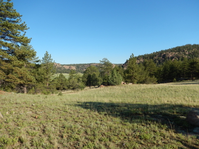 Colorado Mountain Land: 42 Acres With Trees- Views -Rock Formations- Mt Pisgah Views - image 23