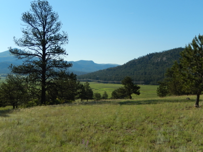 Colorado Mountain Land: 42 Acres With Trees- Views -Rock Formations- Mt Pisgah Views - image 7