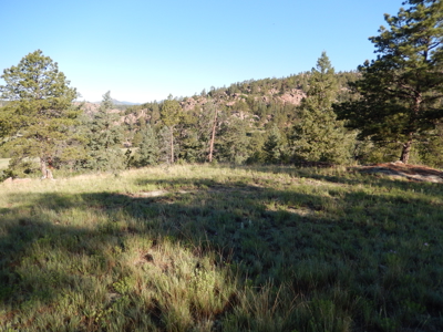 Colorado Mountain Land: 42 Acres With Trees- Views -Rock Formations- Mt Pisgah Views - image 27