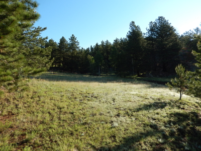 Colorado Mountain Land: 42 Acres With Trees- Views -Rock Formations- Mt Pisgah Views - image 24