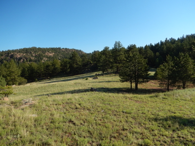 Colorado Mountain Land: 42 Acres With Trees- Views -Rock Formations- Mt Pisgah Views - image 22