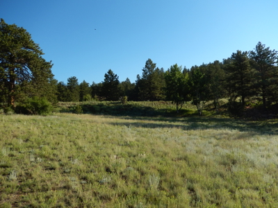 Colorado Mountain Land: 42 Acres With Trees- Views -Rock Formations- Mt Pisgah Views - image 18