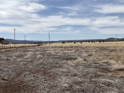 Large Land Parcel for Sale in Seligman AZ with Access to Power and Good Roads - image 7