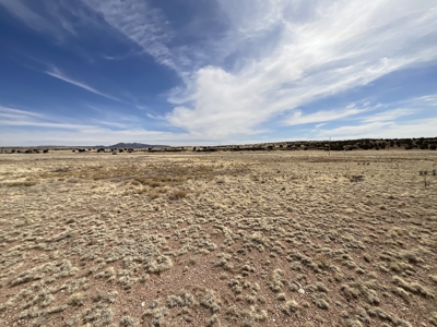 Large Land Parcel for Sale in Seligman AZ with Access to Power and Good Roads - image 11