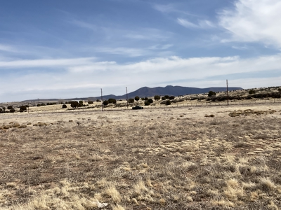 Large Land Parcel for Sale in Seligman AZ with Access to Power and Good Roads - image 6
