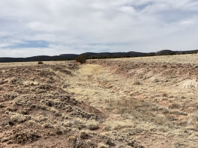 Large Land Parcel for Sale in Seligman AZ with Access to Power and Good Roads - image 8