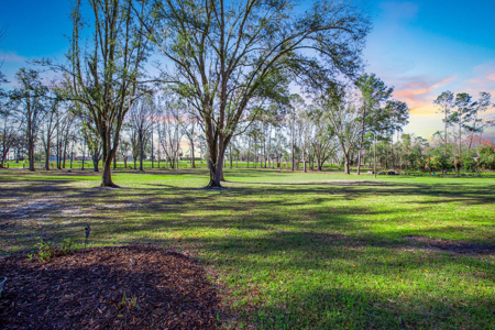Log Cabin In Rural North Central Florida! - image 32