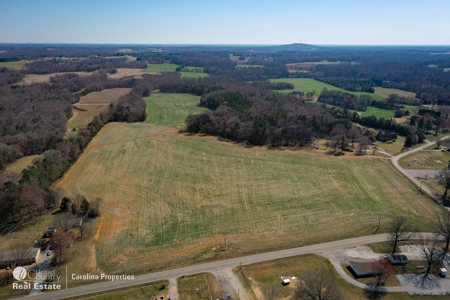 Prime North Carolina Tillable Farmland with Mature Hardwood Stand - image 2