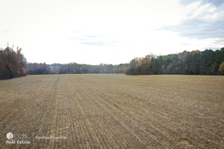Prime North Carolina Tillable Farmland with Mature Hardwood Stand - image 18
