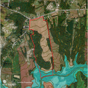 Prime North Carolina Tillable Farmland with Mature Hardwood Stand - image 6