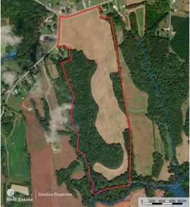 Prime North Carolina Tillable Farmland with Mature Hardwood Stand - image 4
