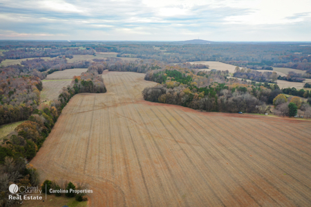 Prime North Carolina Tillable Farmland with Mature Hardwood Stand - image 14