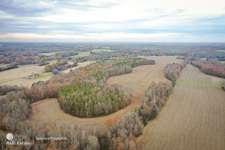 Prime North Carolina Tillable Farmland with Mature Hardwood Stand - image 21